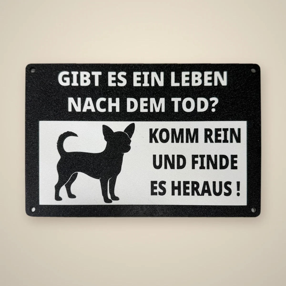 Warnschild „Gibt es ein Leben nach dem Tod?“, Ansicht 2